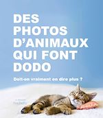 Télécharger le livre :  Des photos d'animaux qui font dodo