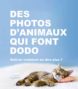 Télécharger le livre :  Des photos d'animaux qui font dodo