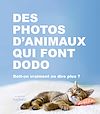 image couv description