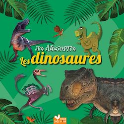 Télécharger le livre :  Je découvre les dinosaures - coffret avec lampe magique