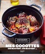Download this eBook Mes petits plats Cocottes qui mijotent qui mijotent