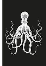 Download this eBook Poulpe