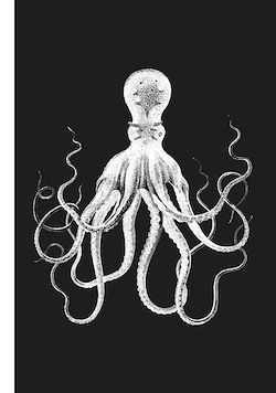 Télécharger le livre :  Poulpe