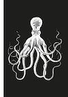image couv description