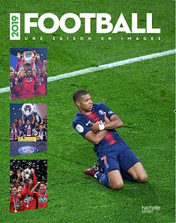 Télécharger le livre :  Une année de foot en 100 photos