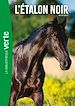 Télécharger le livre :  L'Étalon Noir 01 NED - L'Étalon Noir