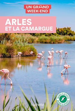 Télécharger le livre :  Arles et la Camargue Un Grand Week-end