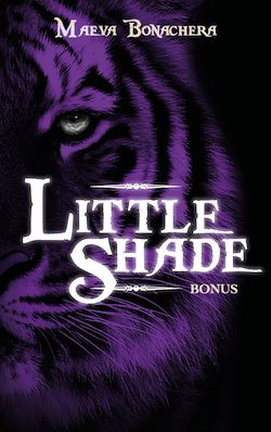 Télécharger le livre :  Little shade - bonus
