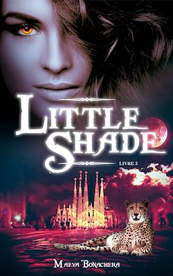 Télécharger le livre :  Little Shade - Tome 3