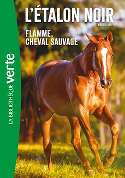 Télécharger le livre :  L'Etalon Noir NED 10 -  Flamme cheval sauvage