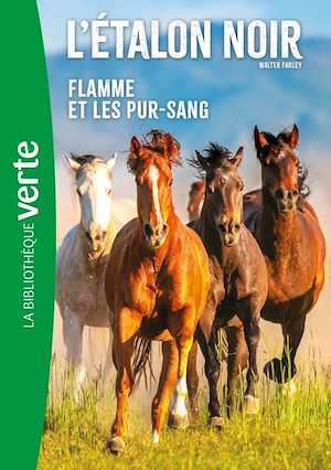 Téléchargez le livre :  L'Etalon Noir NED 11 - Flamme et les pur-sang