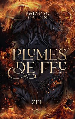 Télécharger le livre :  Plumes de feu - Zel - tome 1
