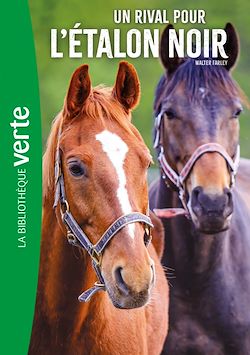 Télécharger le livre :  L'Etalon noir 14 NED - Un rival pour l'étalon noir