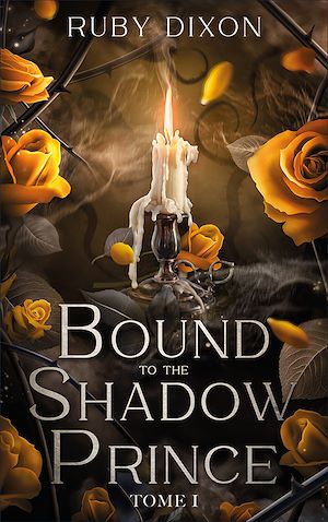 Téléchargez le livre :  Bound to the shadow prince - Tome 1