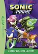 Télécharger le livre :  Sonic Prime 04 - L'arbre qui cache la forêt