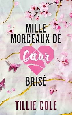 Télécharger le livre :  Mille morceaux de coeur brisé