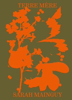 Télécharger le livre :  Terre Mère