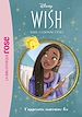 Télécharger le livre :  Wish, Asha et la bonne étoile 06 - L'apprentie marraine-fée