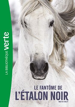 Télécharger le livre :  L'Etalon noir NED 16 - Le fantôme de l'Étalon Noir