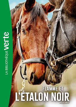 Télécharger le livre :  L'Etalon noir NED 17 - Flamme et l'Etalon noir