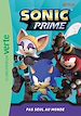 Télécharger le livre :  Sonic Prime 06 - Pas seul au monde