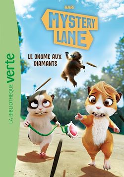 Télécharger le livre :  Mystery Lane 06 - Le gnome aux diamants