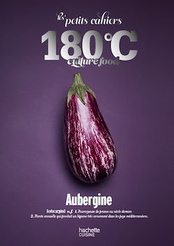 Télécharger le livre :  Les petits cahiers 180°C - Aubergine