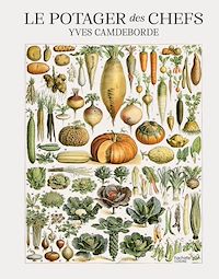 Téléchargez le livre :  Le potager des chefs