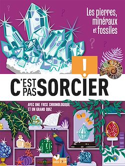 Télécharger le livre :  C'est pas sorcier - Fossiles, pierres et minéraux