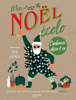 Télécharger le livre :  Un Noël écolo