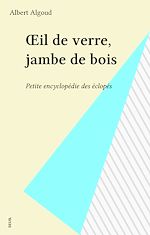 Télécharger le livre :  Œil de verre, jambe de bois