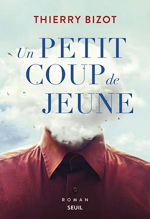 Téléchargez le livre :  Un petit coup de jeune