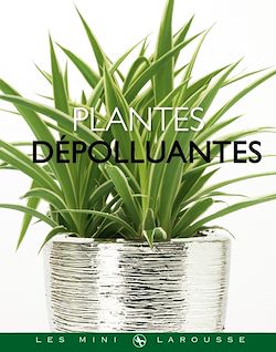 Télécharger le livre :  Plantes dépolluantes