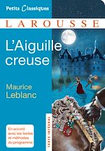Télécharger le livre :  L'aiguille creuse