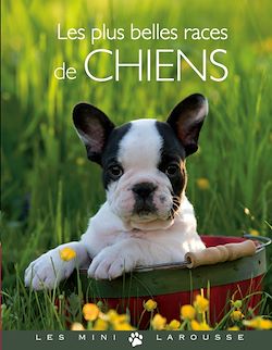 Télécharger le livre :  Les plus belles races de chiens