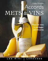 Téléchargez le livre :  Accords mets-vins