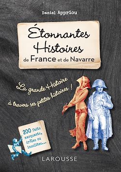 Télécharger le livre :  Etonnantes histoires de France et de navarre