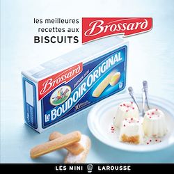 Télécharger le livre :  Les meilleures recettes aux Biscuits Brossard
