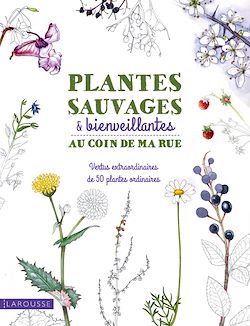 Télécharger le livre :  Plantes sauvages & bienveillantes au coin de ma rue