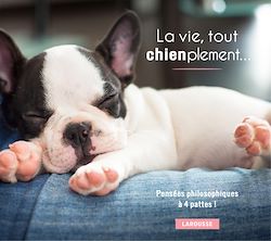 Télécharger le livre :  La vie, tout chienplement...