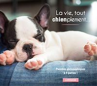 Téléchargez le livre :  La vie, tout chienplement...