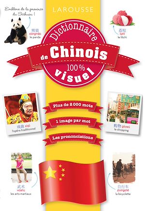 Download the eBook: Dictionnaire de chinois 100% visuel