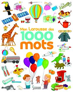 Télécharger le livre :  Le Larousse des 1 000 mots NE