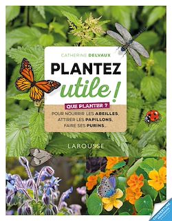 Télécharger le livre :  Les chouettes copines du jardin