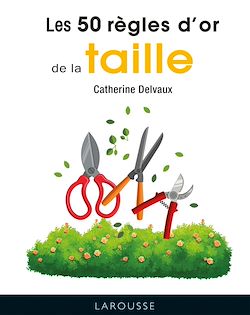 Télécharger le livre :  50 règles d'or de la taille