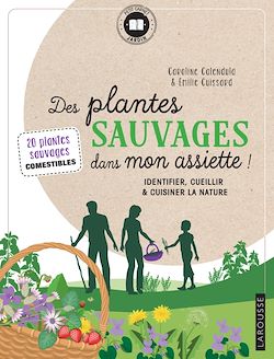 Télécharger le livre :  Des plantes sauvages dans mon assiette !