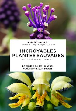 Télécharger le livre :  Incroyables plantes sauvages