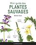 Télécharger le livre :  Mini-guide des plantes sauvages