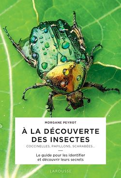 Télécharger le livre :  A la découverte des insectes