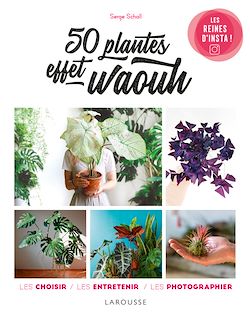 Télécharger le livre :  50 plantes effet waouh